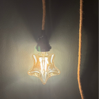 Decorative light bulb - Star